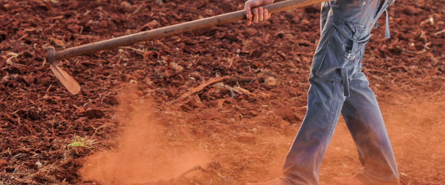 Agricultores y ganaderos ¿Módulos o estimación directa?