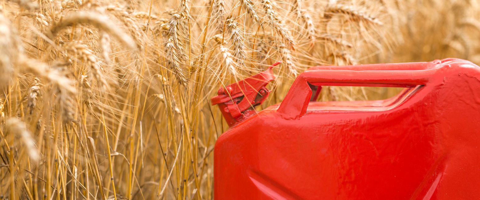 Novedades 2023: ayuda precio del gasóleo agrario