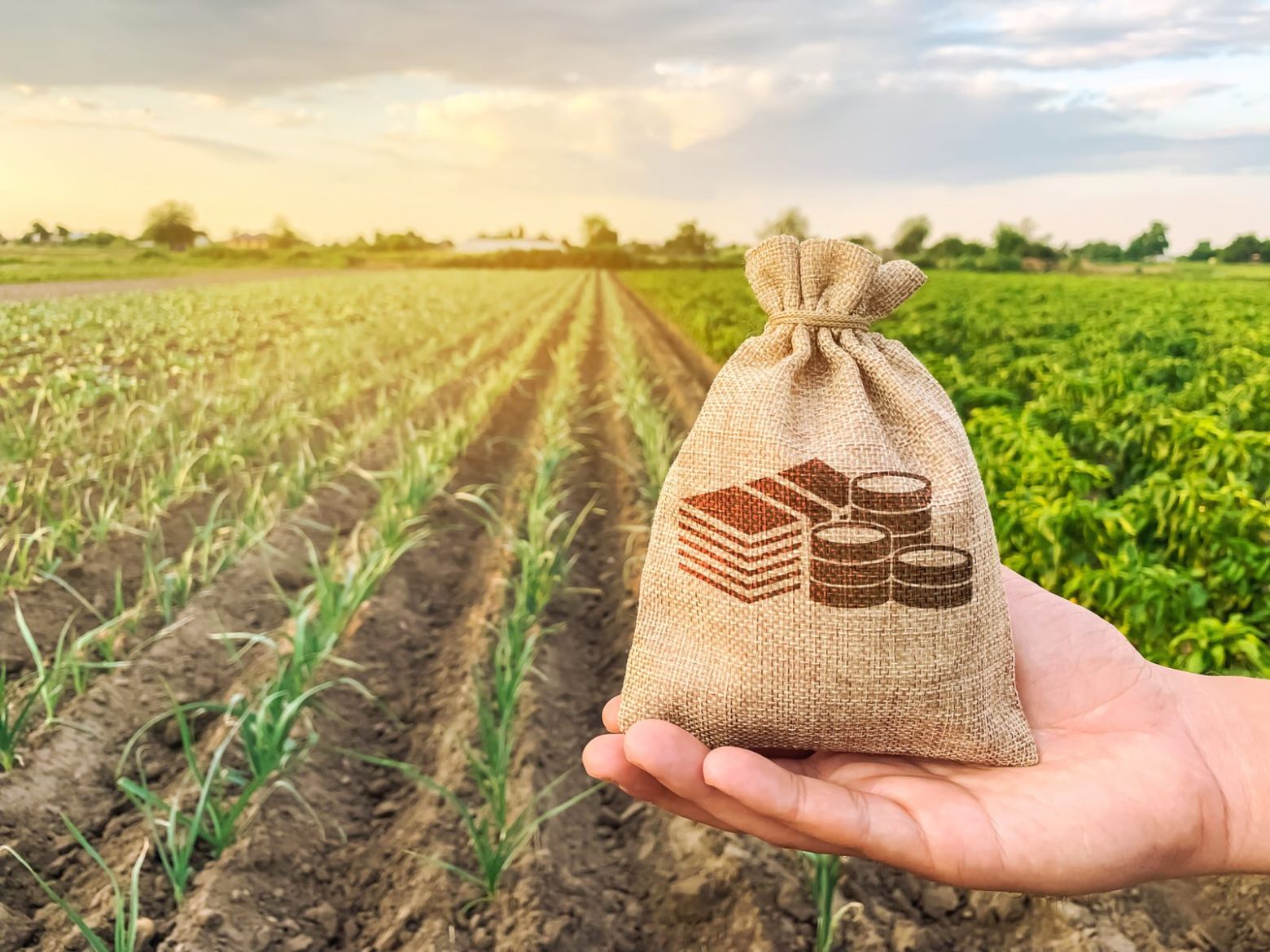 Una bolsa de dinero en primer plano referencia a una plantación agraria de fondo.