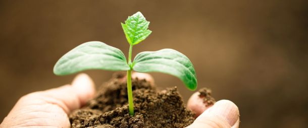 Orden de módulos para 2023